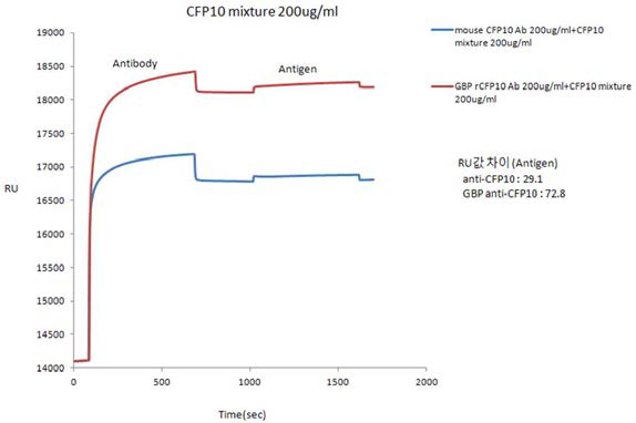 Anti-mouse-CFP-10 group3와 GBP-anti-rCFP10 group3의 농도를 200 ㎍/mL로 고정시켜 본 SPR 결과