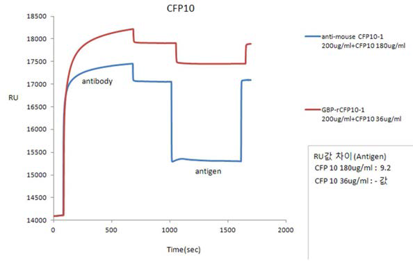 Anti-mouse-CFP-10 group3와 GBP-anti-rCFP10 group3의 농도를 고정시키고 CFP-10 antigen의 농도를 180, 36 ㎍/mL로 변화시켜 본 SPR 결과