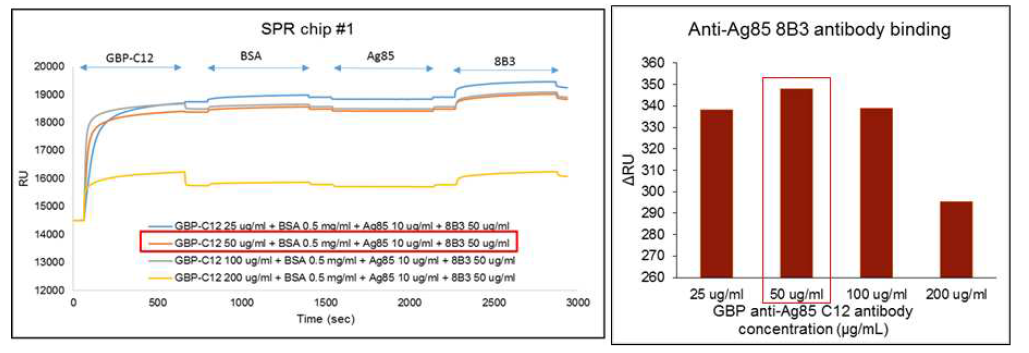 GBP-anti-Ag85-C12의 농도를 변화시켜 본 SPR 결과