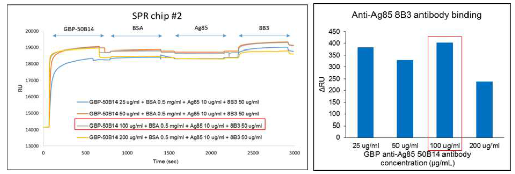 GBP-anti-Ag85-50B14의 농도를 변화시켜 본 SPR 결과