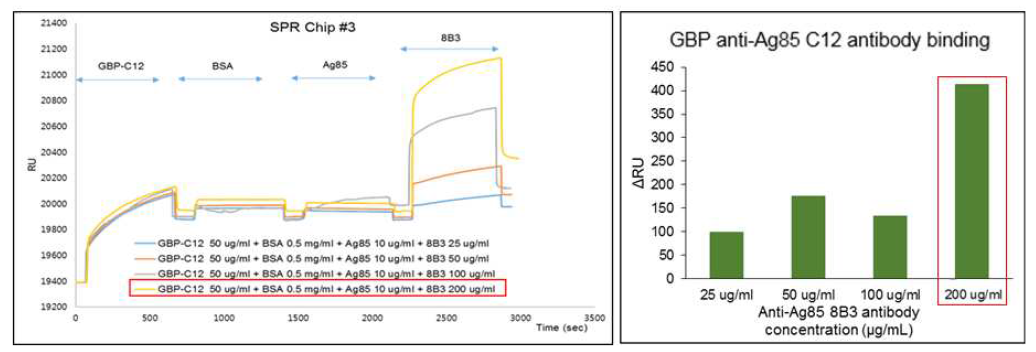 GBP-anti-Ag85-C12의 농도를 고정시키고 anti-Ag85-8B3의 농도를 변화시켜 본 SPR 결과