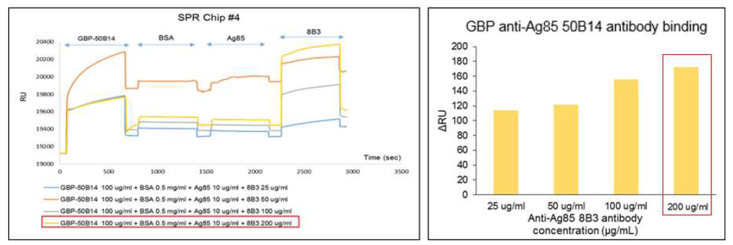 GBP-anti-Ag85-50B14의 농도를 고정시키고 anti-Ag85-8B3의 농도를 변화시켜 본 SPR 결과