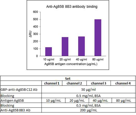 GBP-anti-Ag85-C12의 농도를 고정시키고 Ag85 antigen과 anti-Ag85-8B3의 농도를 변화시켜 본 SPR 결과