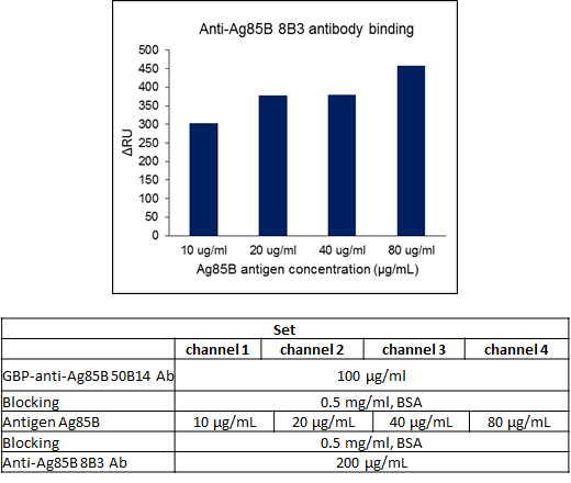 GBP-anti-Ag85-50B14의 농도를 고정시키고 Ag85 antigen과 anti-Ag85-8B3의 농도를 변화시켜 본 SPR 결과