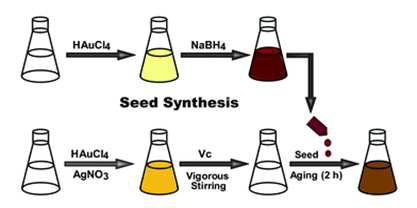 Seed 성장법을 기반으로 한 금나노막대(AuNRs)의 합성법