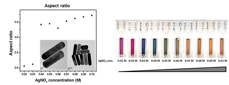 질산은(AgNO3) 농도 변화에 따른 종횡비 변화(좌)와 색 변화(우)