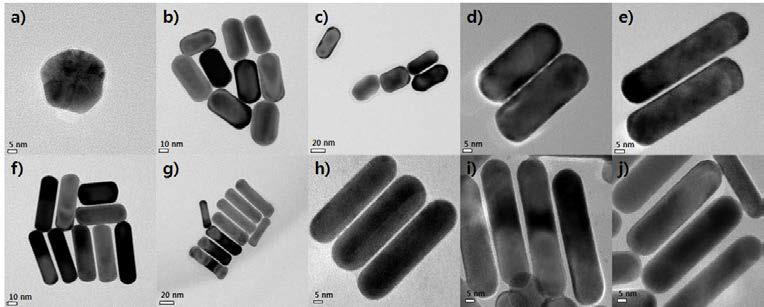 질산은(AgNO3) 농도 증가에 따른 금나노막대의 종횡비 변화를 나타내는 TEM 사진