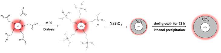 Silica-shell coated CdTe QDs(SiQDs) 합성법