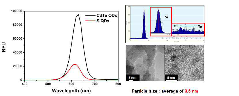 SiQDs와 CdTe QDs의 형광스펙트럼(좌), SiQDs의 EDAX와 TEM 분석 결과(우)