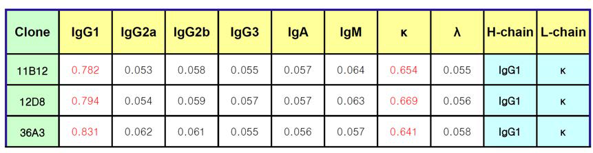 3종류 단일크론 항체의 isotype