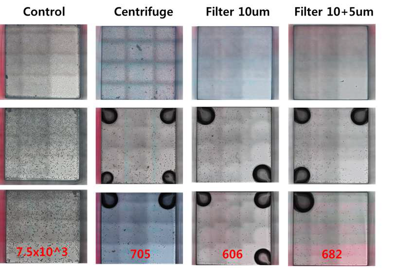 원심 분리 방법과 필터를 이용한 방법에서 BCG 균의 회수율을 확인하기 위한 실험. 384 well plate에 전처리한 객담을 100ul를 넣은 뒤 배양하고 현미경으로 관찰함. 대조군은 아무 것도 처리하지 않은 객담을 이용