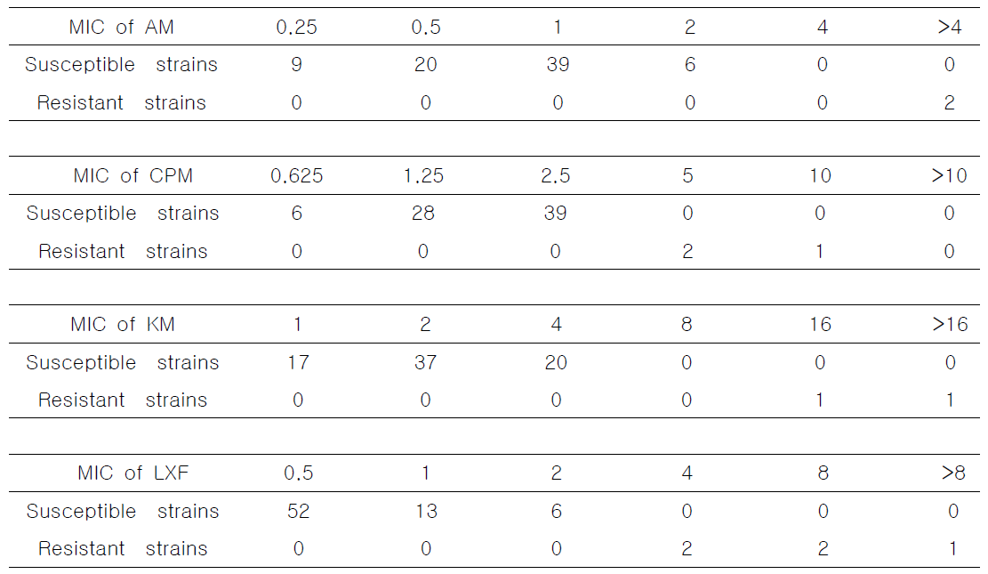 77개 임상균주의 4가지 항결핵약제 (AM, CPM, KM, LXF)에 대한 MIC 측정결과