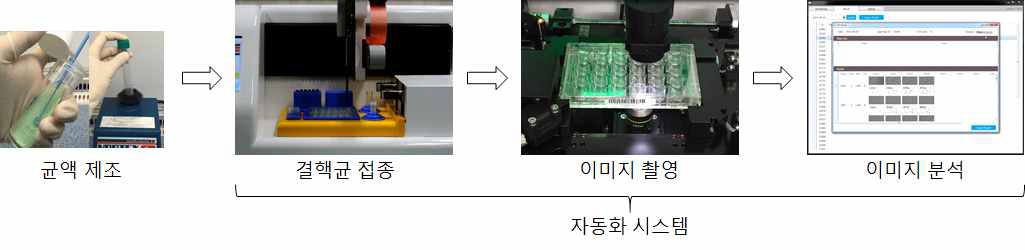 전자동화 시스템을 이용한 항결핵제 감수성 검사 과정