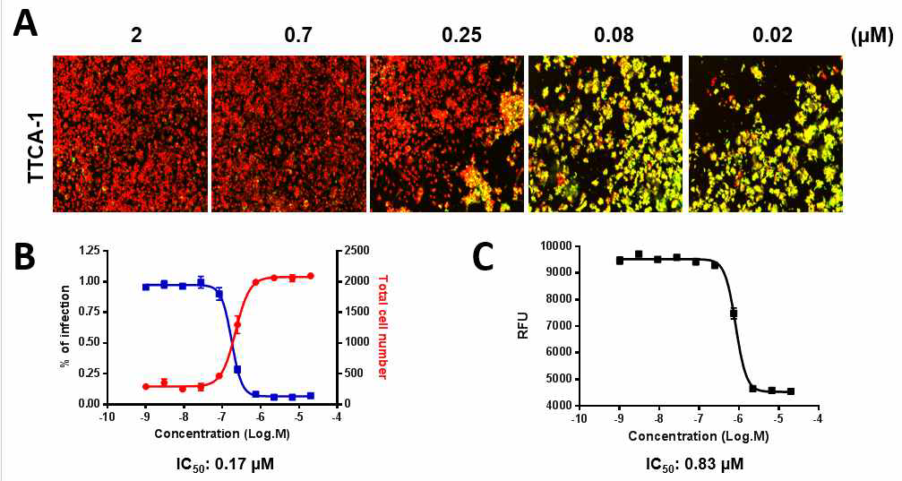 A. 대식세포(빨간색, Syto 60로 염색시킨 Raw 264.7 쥐의 대식세포) 생존과 박테리아(초록색, M. tuberculosis H37Rv-GFP) 증식에 미치는 TTCA-1의 영향. B. 액체배지상의 박테리아 증식에 대한 TTCA-1의 효능. C. 대식세포내 박테리아 증식에 대한 TTCA-1의 효능. 박테리아의 감소와 세포 생존증가를 함께 표시함