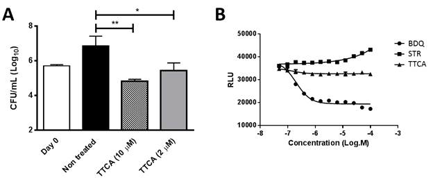 A. H37Rv에 대한 TTCA 화합물의 살균 효과 ; TTCA 화합물을 7일 동안 처리한 후 CFU 계산에 의한 분석. B. 결핵균에 ATP가 고갈되었을 때 TTCA 화합물의 효과. BDQ : bedaquiline. ATP 고갈에 대한 양성 대조군으로 사용, STR : streptomycin. ATP 고갈에 대한 음성 대조군으로 사용