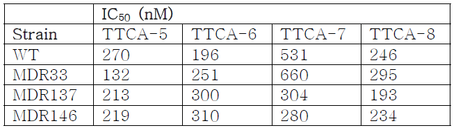 약제 내성 임상 분리 균주에 대한 TTCA 화합물의 활성