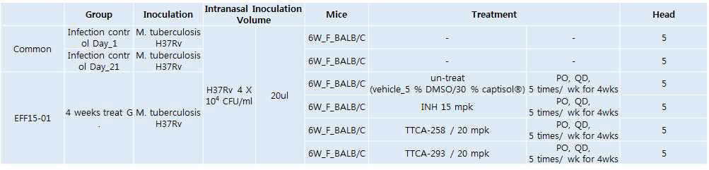 TTCA-258 및 TTCA-293의 생체 내 효능 평가 (in vivo efficacy)를 위한 실험 계획