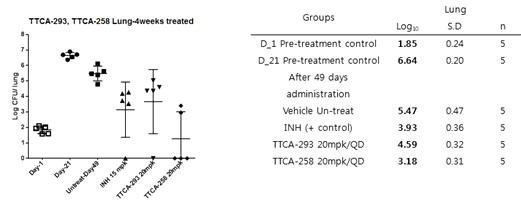 만성결핵감염을 유도한 balb/c mice에서 4주간 TTCA-258 및 TTCA-293 투여한 후 측정한 폐에서의 CFU