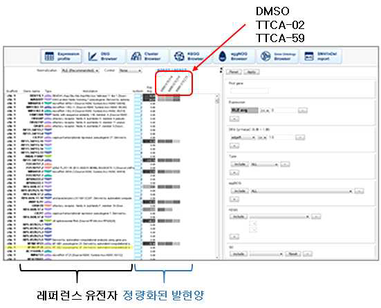 메인브라우저를 통한 모든 유전자들의 발현양 비교