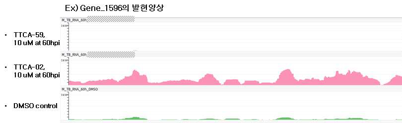 Mapping browser를 통한 유전자간 발현 양상