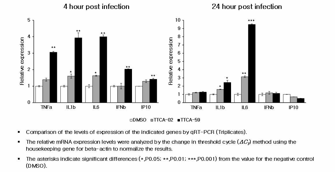 쥐 대식세포에서의 TTCA 화합물에 의한 선천면역 유전자들의 전사체 발현비교