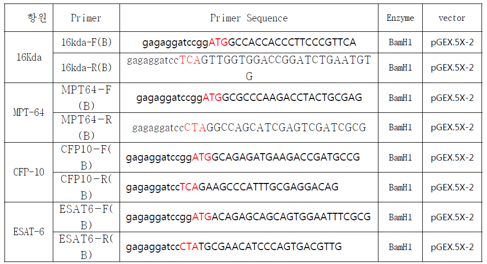 클로닝을 위한 프라이머 디자인 및 대장균 발현용 벡터