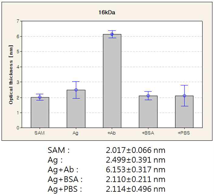 16 kDa 항원-항체 반응 단계별 ellipsometric thickness