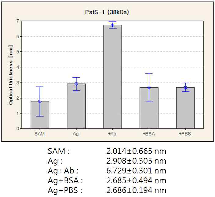 PstS-1 (38kDa) 항원-항체 반응 단계별 ellipsometric thickness