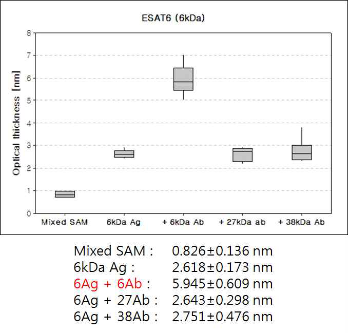 ESAT6 (6 kDa) 항원-항체 반응 단계별 ellipsometric thickness