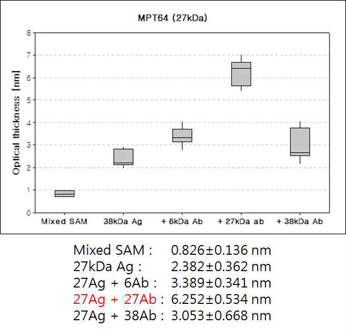 MPT64 (27 kDa) 항원-항체 반응 단계별 ellipsometric thickness