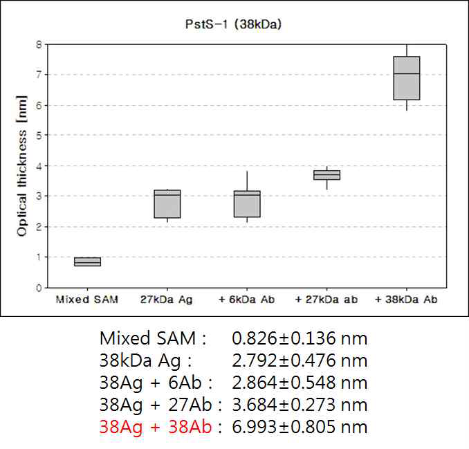 PstS-1 (38 kDa) 항원-항체 반응 단계별 ellipsometric thickness