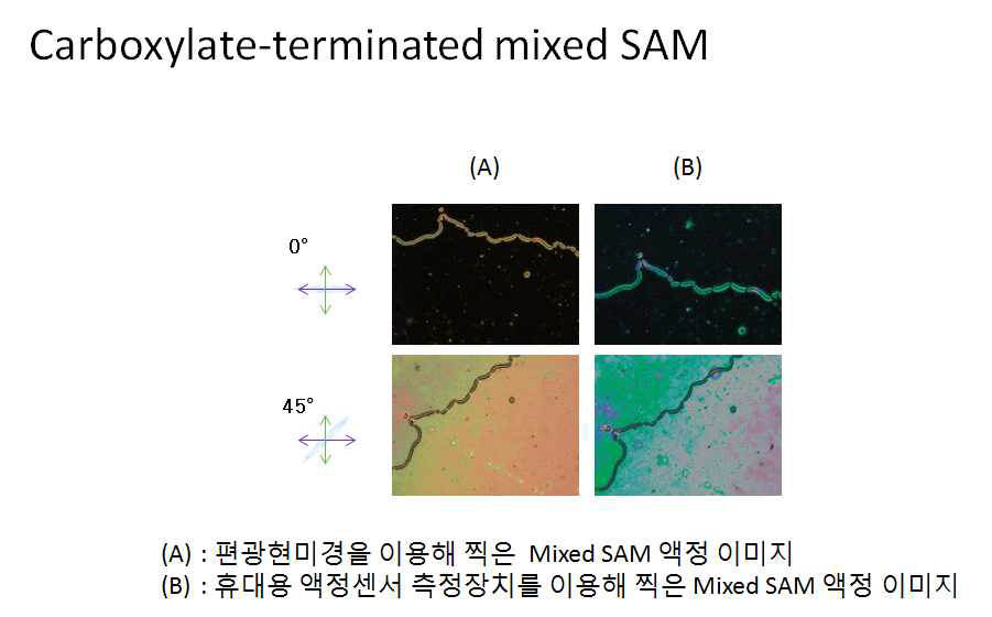 편광현미경과 휴대용 액정센서 측정장치의 액정 이미지 비교