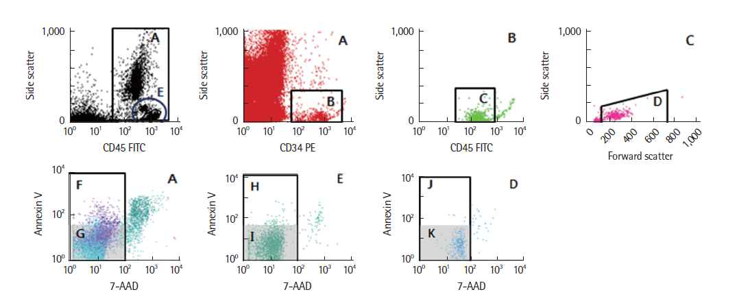 7-AAD/Annexin V 동시염색을 통한 제대혈 총유핵세포, 단핵세포, CD34 양성세포의 조기세포사멸 분석