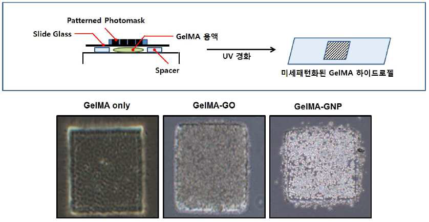 패치형 마이크로패턴 지지체를 제작하기 위한 광 식각기술 (위) 및 미세패턴으로 생산된 패치형태의 다양한 GelMA기반의 생체적합성 재료