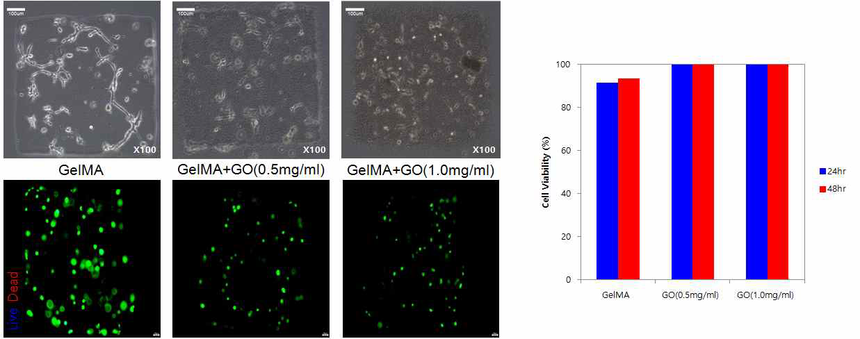 Gelatin Methacrylate-Graphene Oxide 융합형 생체재료를 이용한 마이크로패턴 형성 및 세포주 (NIH3T3 (fibroblast))에 대한 cytotoxicity test.