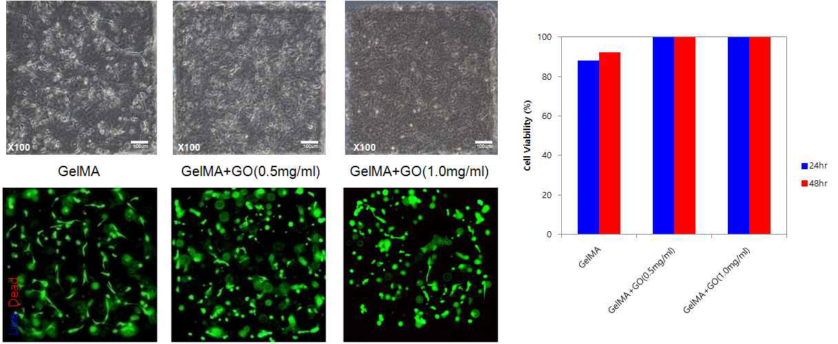 Gelatin Methacrylate-Graphene Oxide 융합형 생체재료를 이용한 마이크로패턴 형성 및 일차배양세포(human cardiac stem cells)에 대한 cytotoxicity test.
