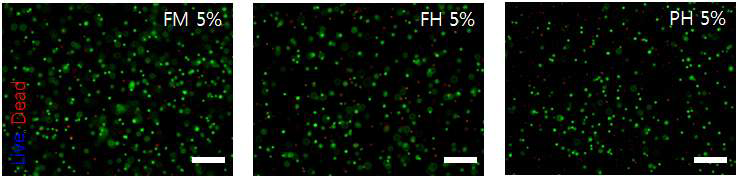 Fish GelMA Hydrogel 생체재료를 이용한 세포 3차원 배양 cytotoxicity test.