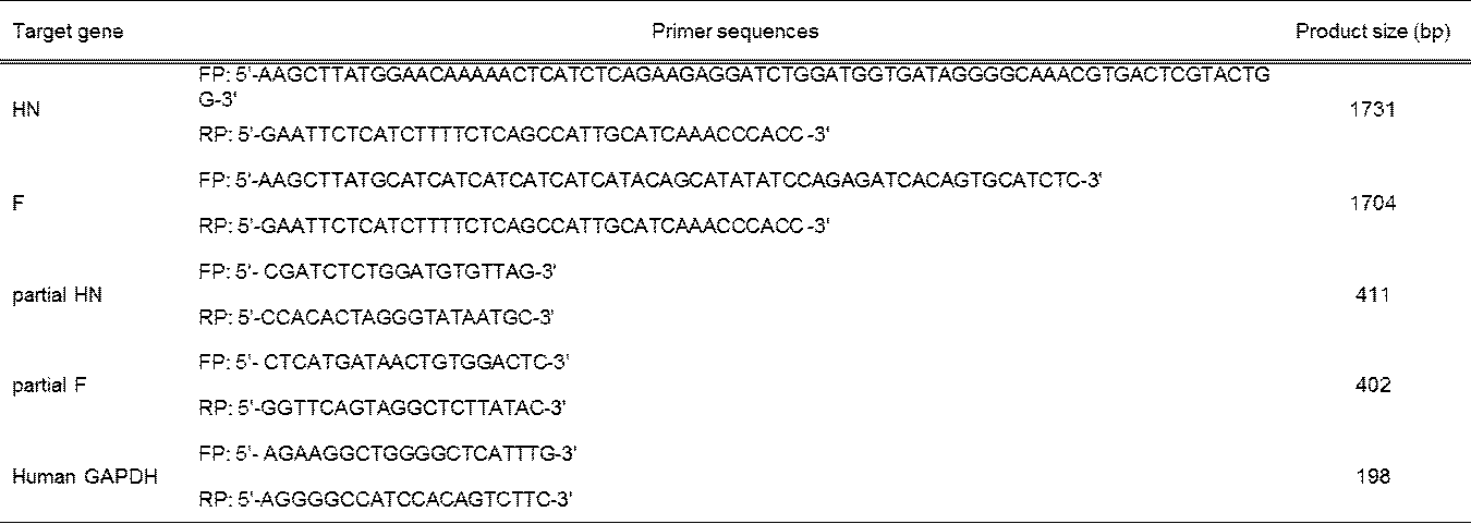본 발명에 사용된 HN 및 F 유전자의 클로닝에 사용된 프라이머 서열