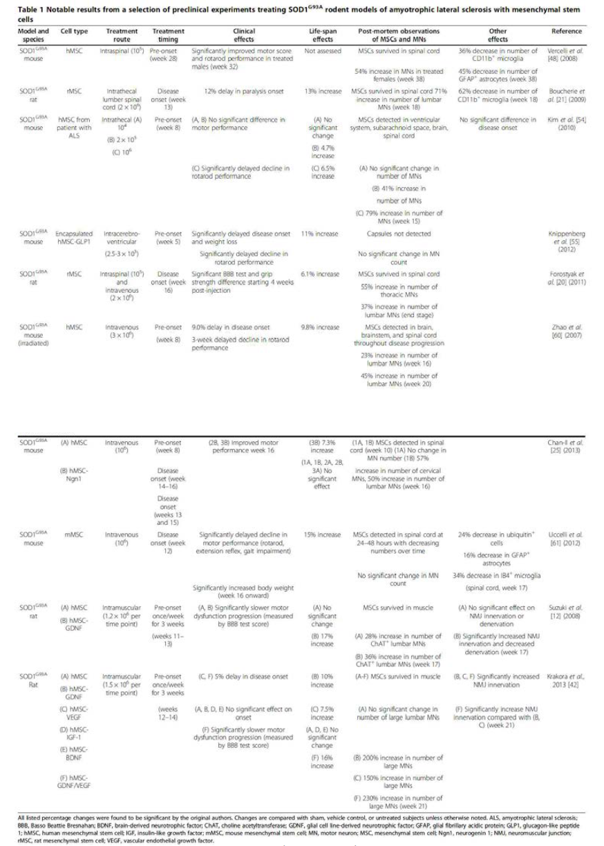 SOD-1 G93A mouse (혹은 rat)에서 연구된 MSC의 ALS에 대한 효능 연구 Cell Research & Therapy