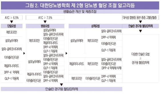 대한 당뇨병 학회 제 2형 당뇨병 혈당 조절 알고리듬