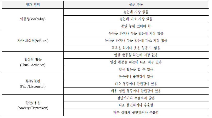 EQ-5D 설문 항목