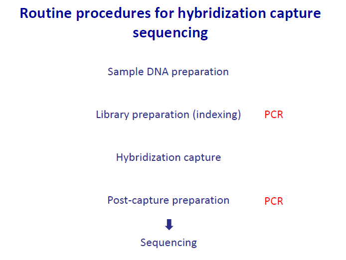혼성 중합 기반 유전자 포획 기술의 flow