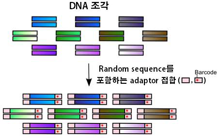 Random sequence를 이용한 시퀀싱 라이브러리 제작