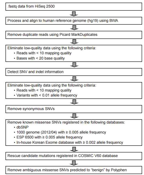 Bioinformatics 분석 흐름도