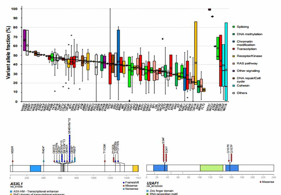 MDS 샘플들의 변이 분포와 상위 2개 유전자 (ASXL1, U2AF1)의 변이 분포도