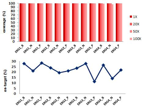 ERG 환자 샘플에서의 on-target 및 coverage 분포