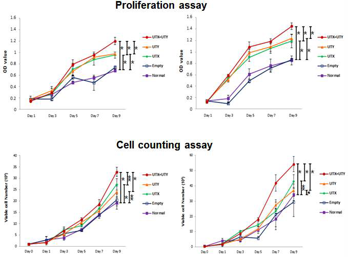 대장암 세포 주에서의 UTX, UTY 유전자 knock-out을 통한 proliferation 및 cell counting 실험 결과