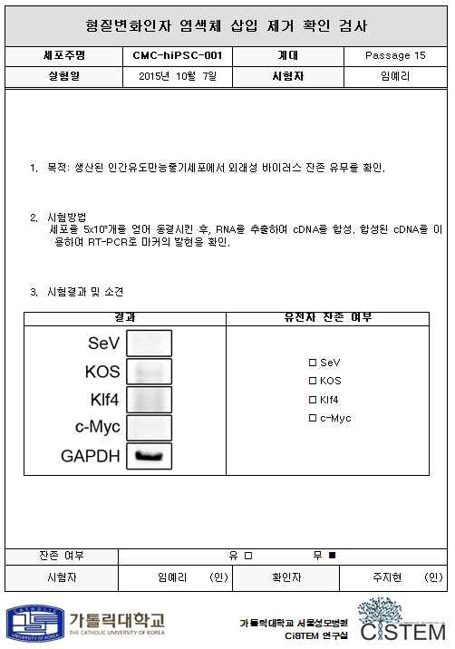 염색체에 형질변화인자가 삽입된 세포를 제거한 후의 시험 성적서