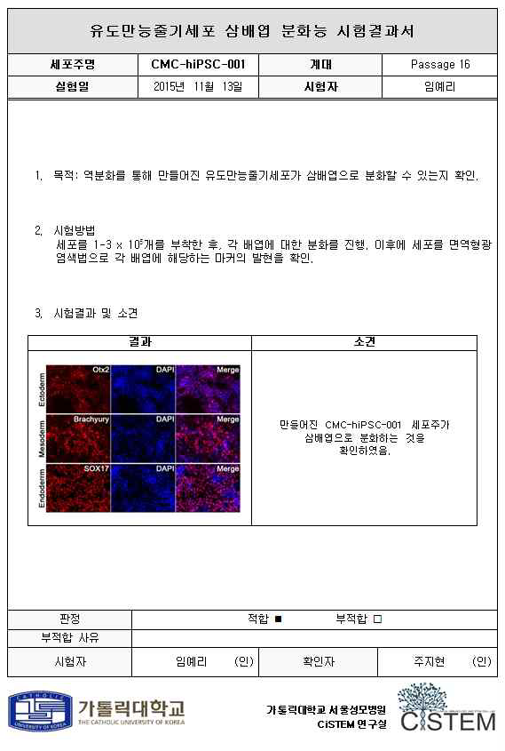 삼배엽 분화능 시험기록서