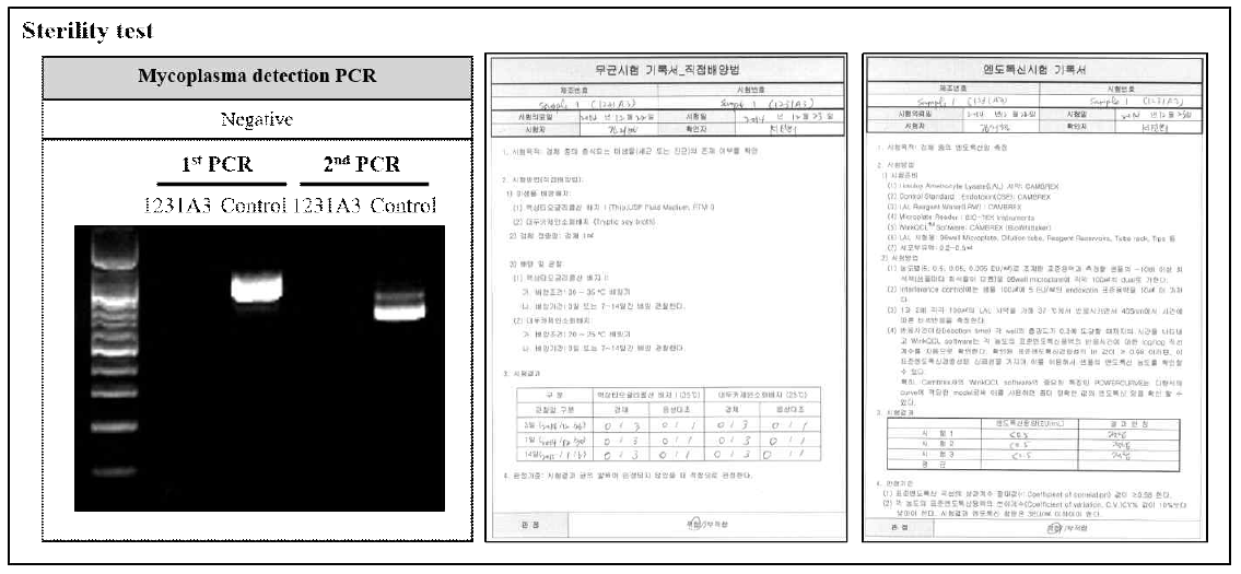 유도만능줄기세포주의 안전성 확인